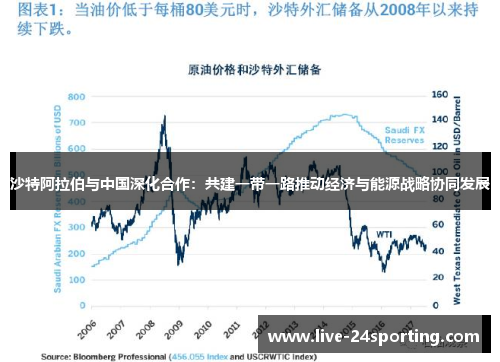 沙特阿拉伯与中国深化合作：共建一带一路推动经济与能源战略协同发展